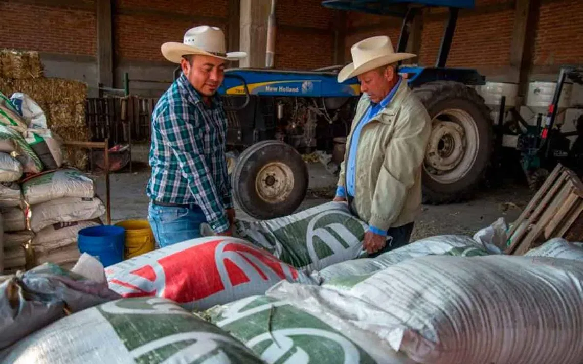 180 mil agricultores en México serán beneficiados con el programa "Fertilizantes para el Bienestar"
