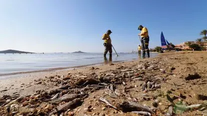 2021 se despide con una crisis ambiental en todo el mundo
