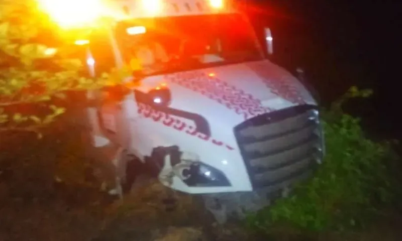 Accidente de Tractocamión y Vaca en Michoacán