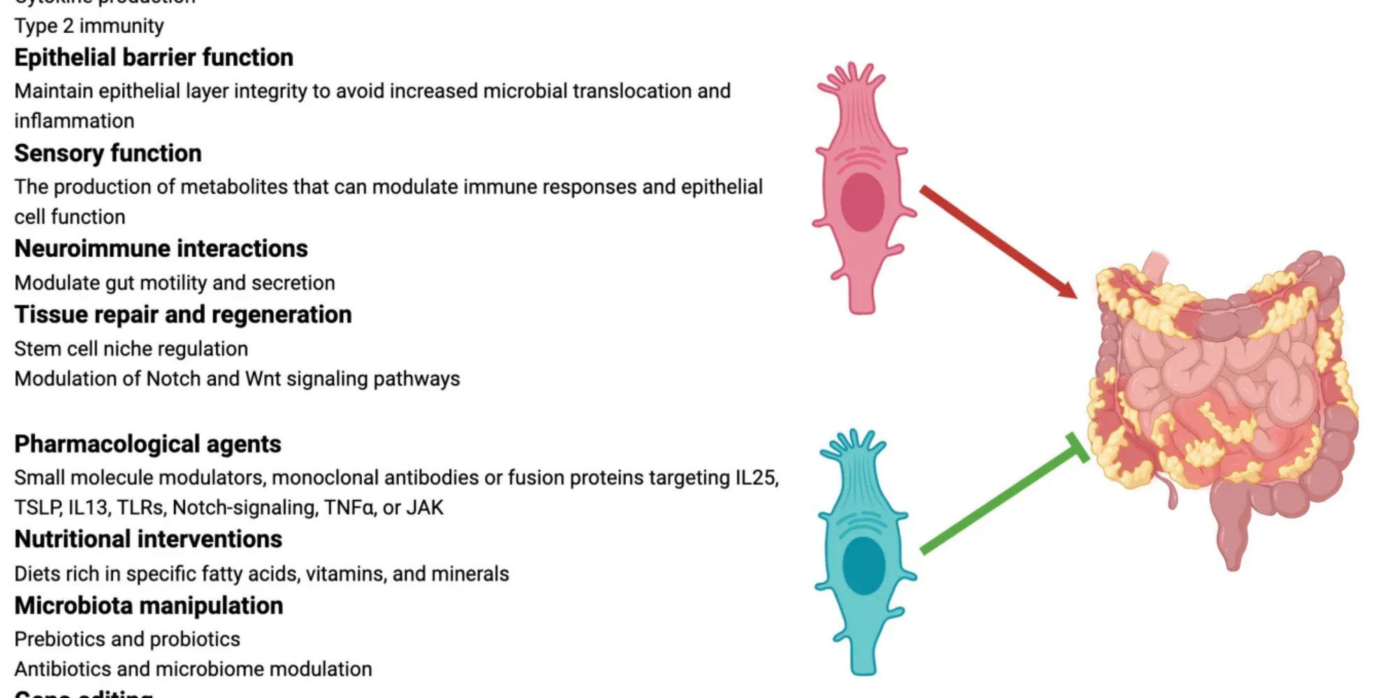 inflammatory bowel disease