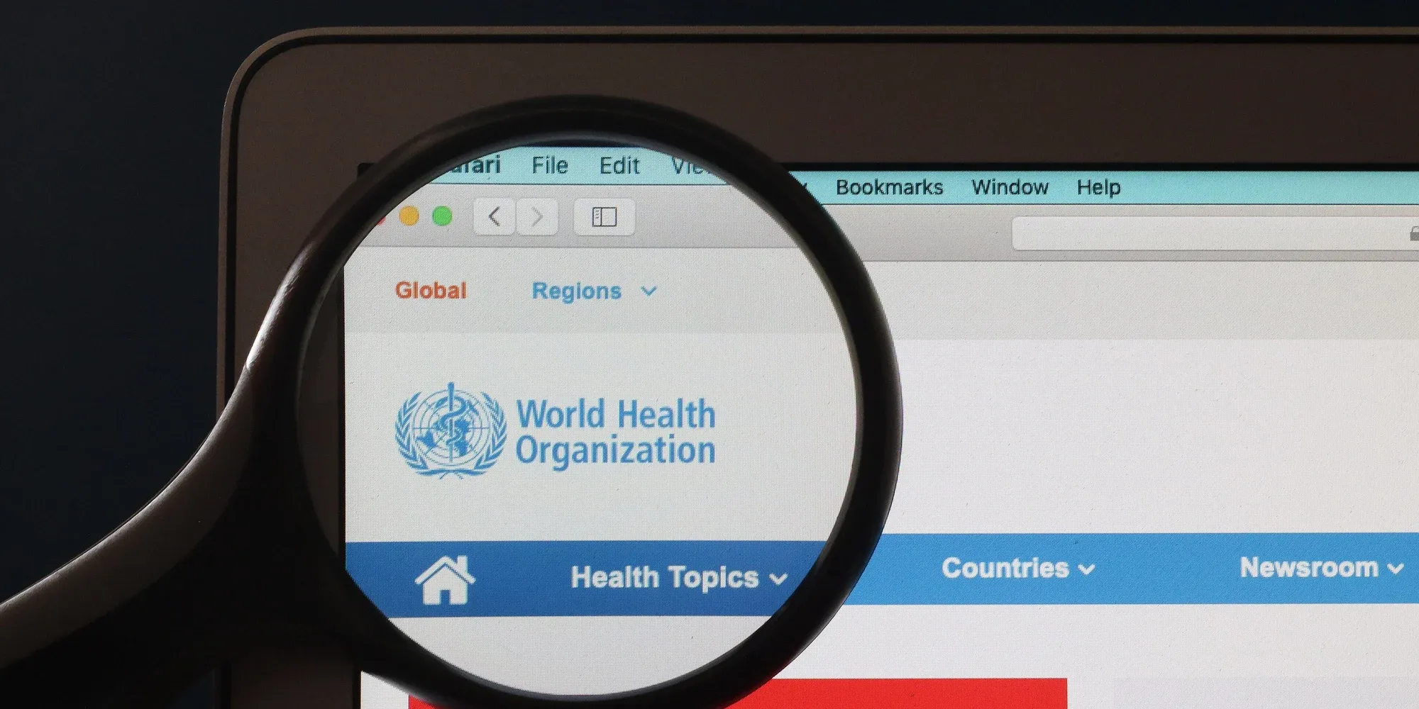 World Health Organization