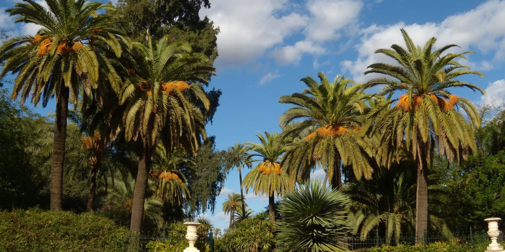 Jardines de Murillo