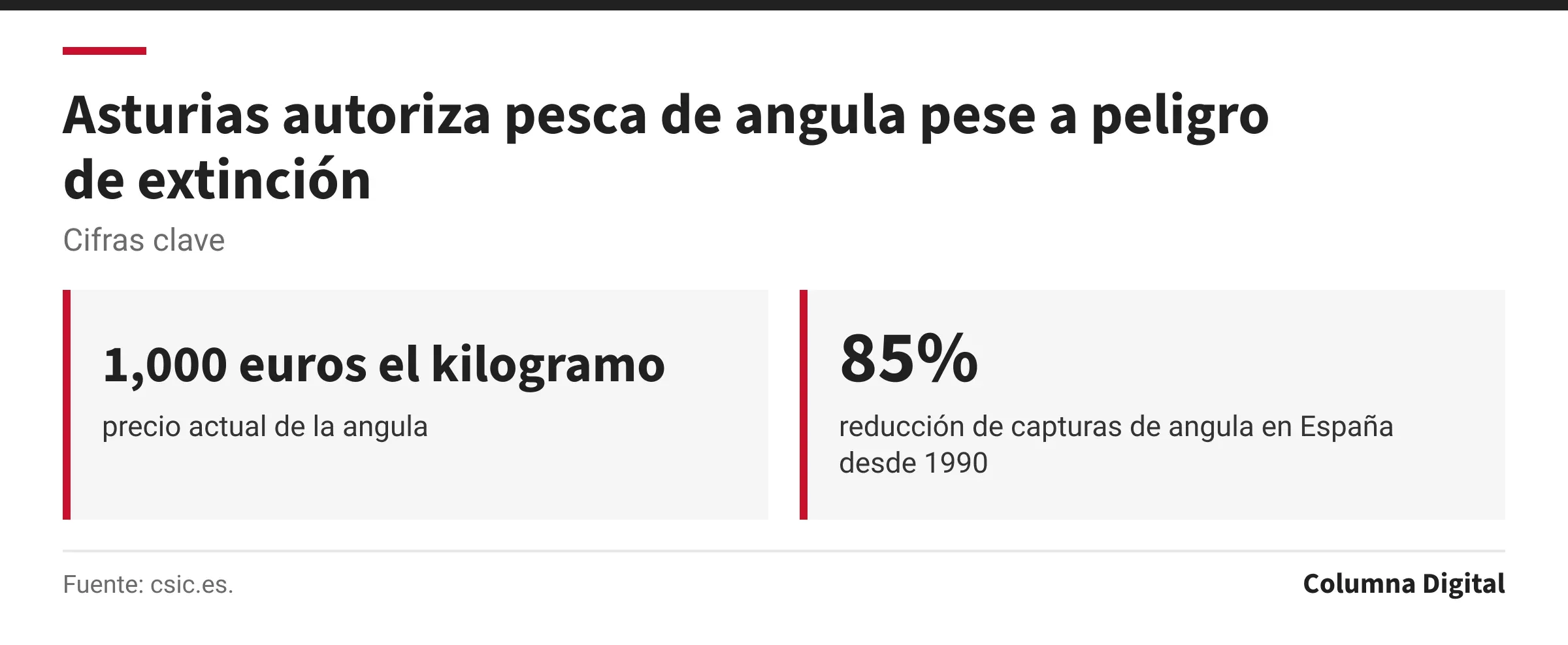Cifras clave: 1,000 euros el kilogramo, precio actual de la angula; 85%, reducción de capturas de angula en España desde 1990.
