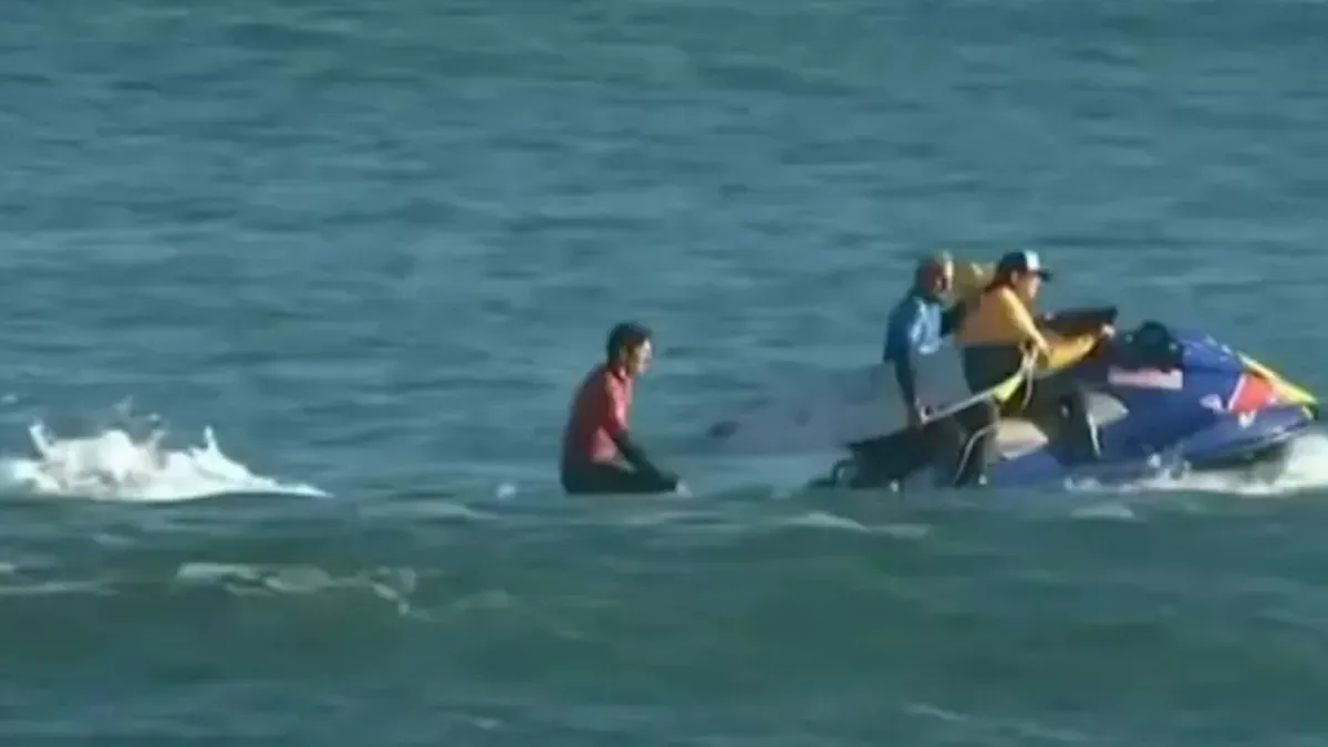 Ataque "código rojo" de un depredador marino en el Mundial de surf