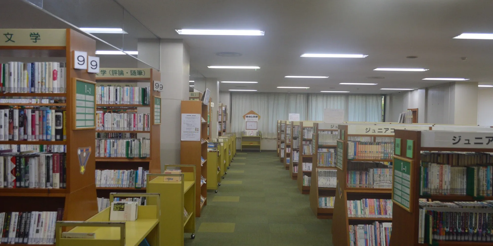 libros