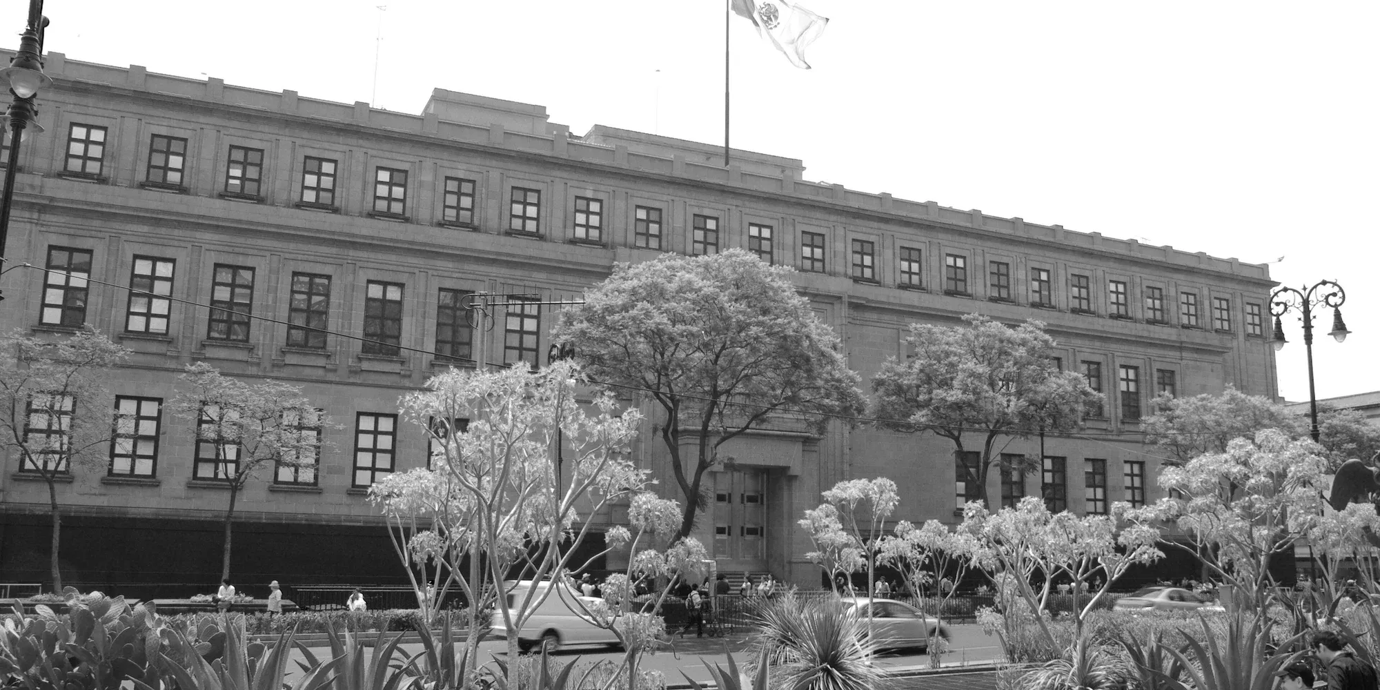 tribunales