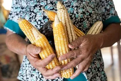 Carlos Arriola: “La desnutrición en Guatemala es una estrategia política”