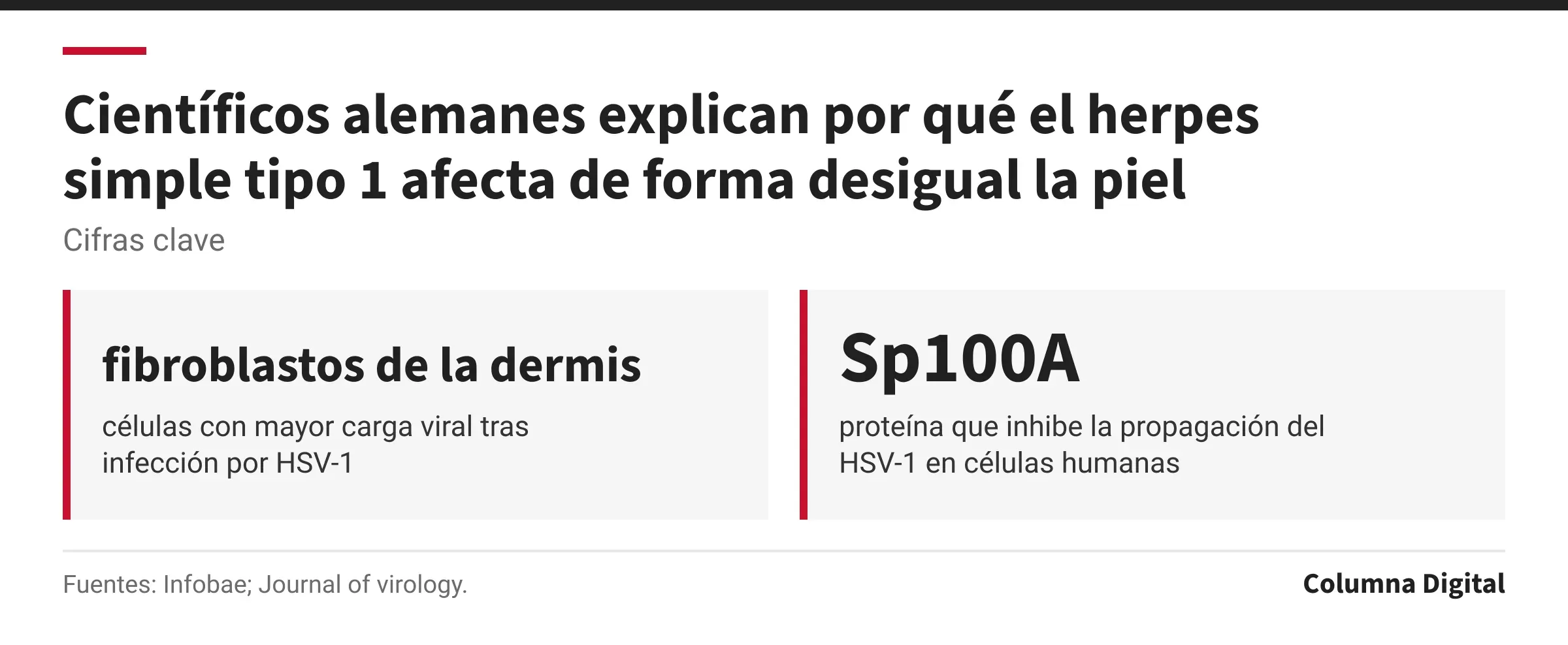Cifras clave: fibroblastos de la dermis, células con mayor carga viral tras infección por HSV-1; Sp100A, proteína que inhibe la propagación del HSV-1 en células humanas.