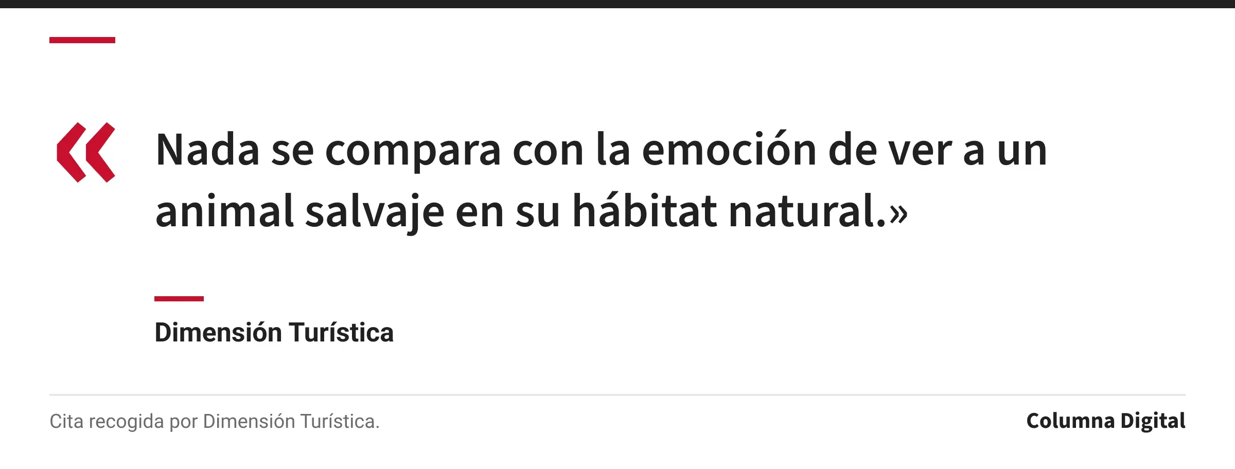 Cita de Dimensión Turística: «Nada se compara con la emoción de ver a un animal salvaje en su hábitat natural.»