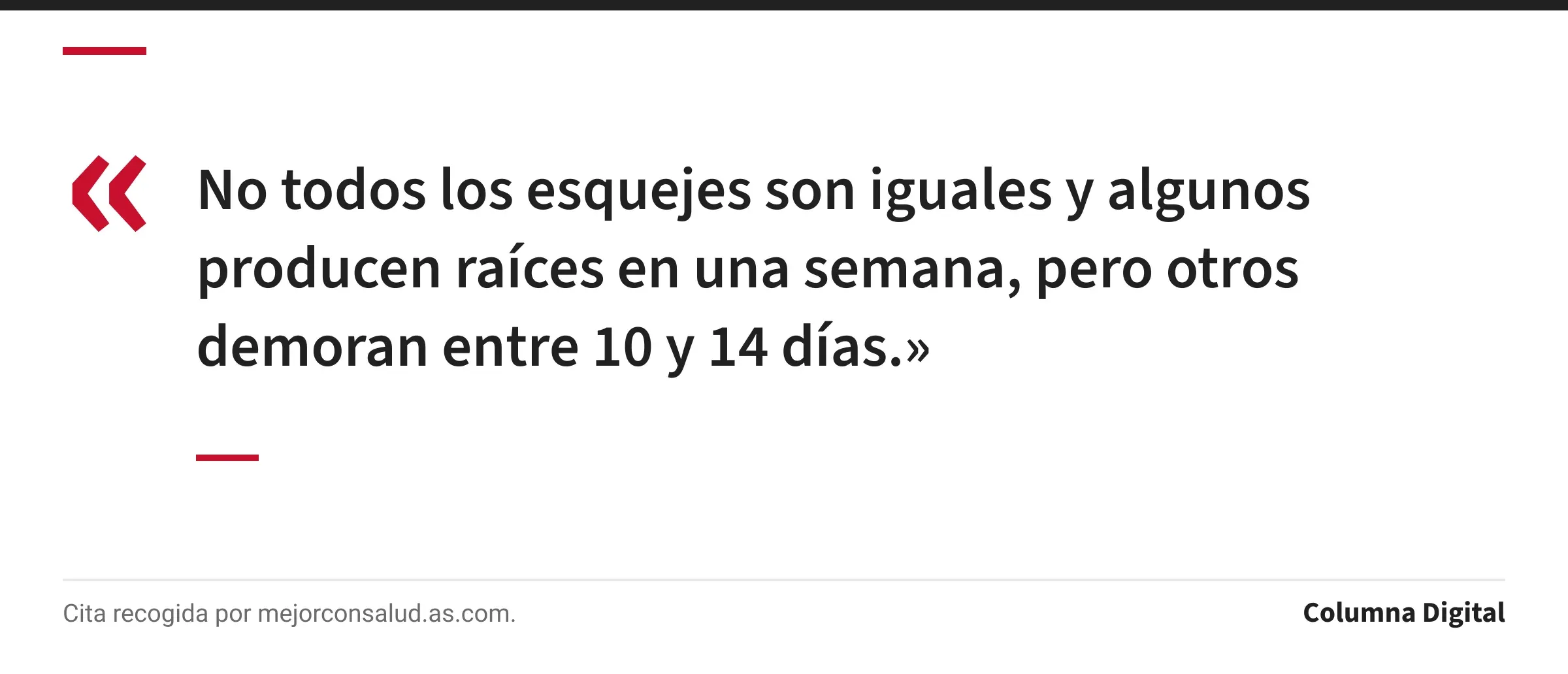 Cita de : «No todos los esquejes son iguales y algunos producen raíces en una semana, pero otros demoran entre 10 y 14 días.»