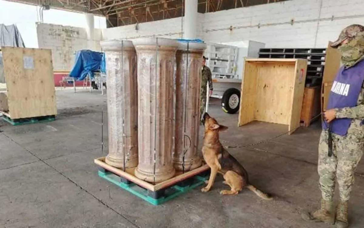 Confiscan 500 kilos de marihuana en Veracruz
