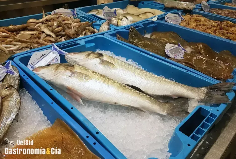 Contaminación por mercurio en pescados europeos