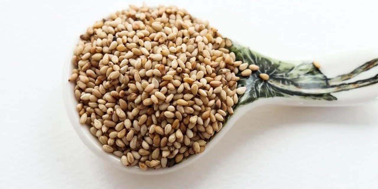 seed oils health debate