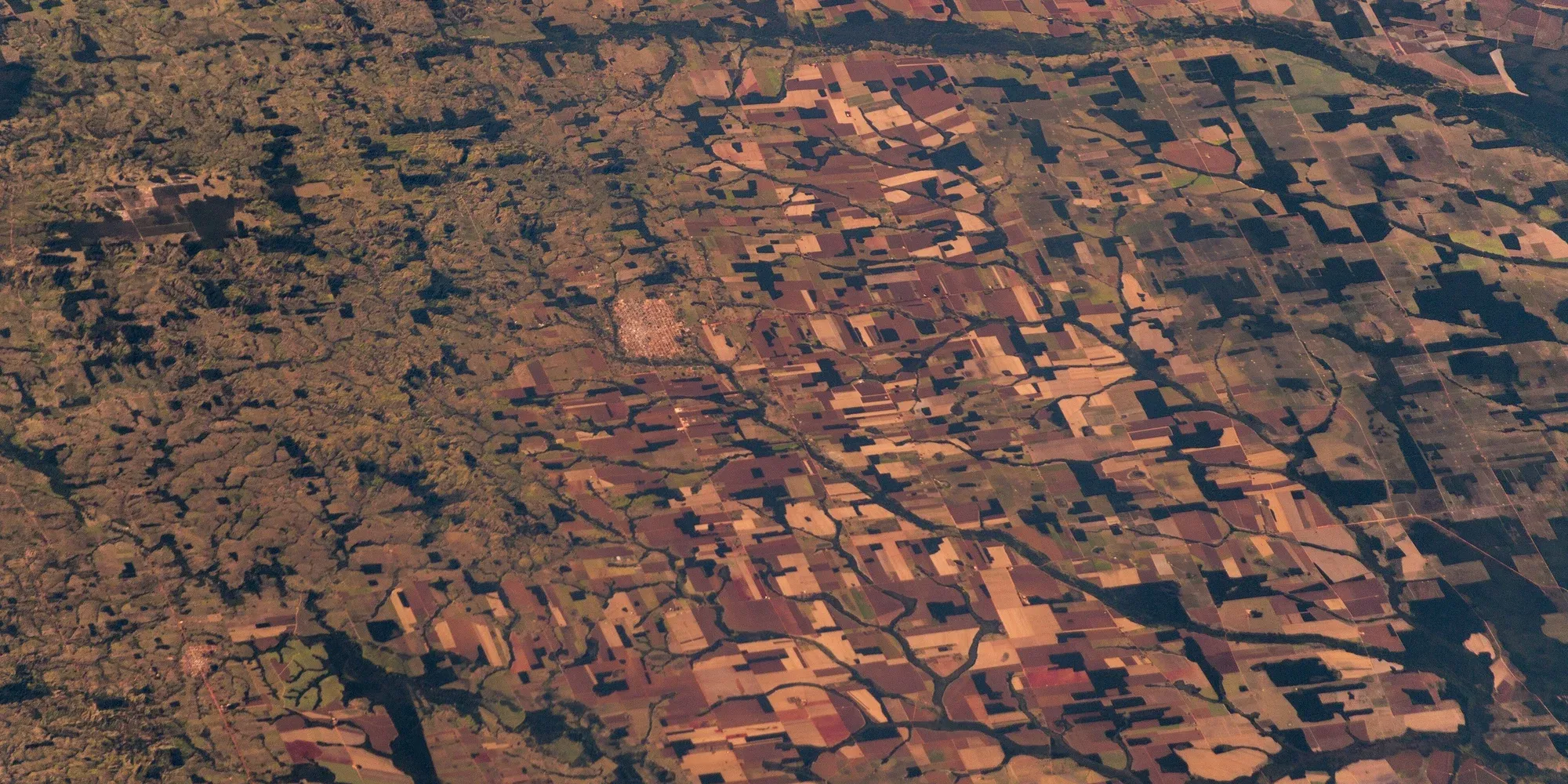 Amazon Rainforest deforestation