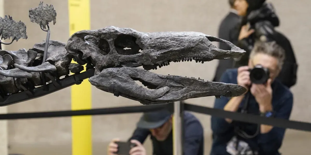 Descubren huellas de dinosaurios en cantera.