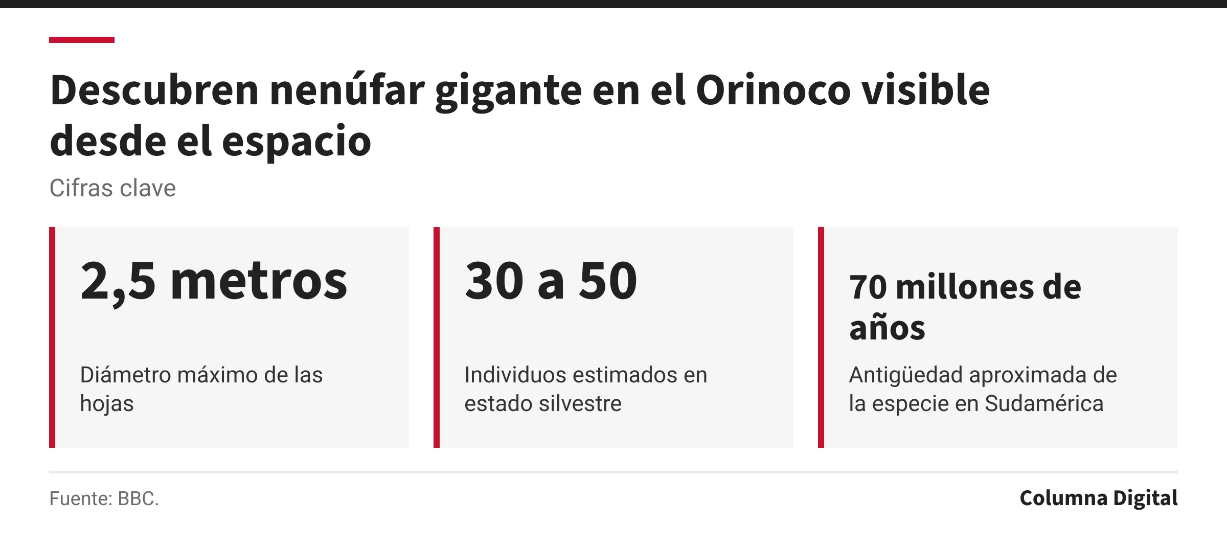 Cifras clave: 2,5 metros, Diámetro máximo de las hojas; 30 a 50, Individuos estimados en estado silvestre; 70 millones de años, Antigüedad aproximada de la especie en Sudamérica.