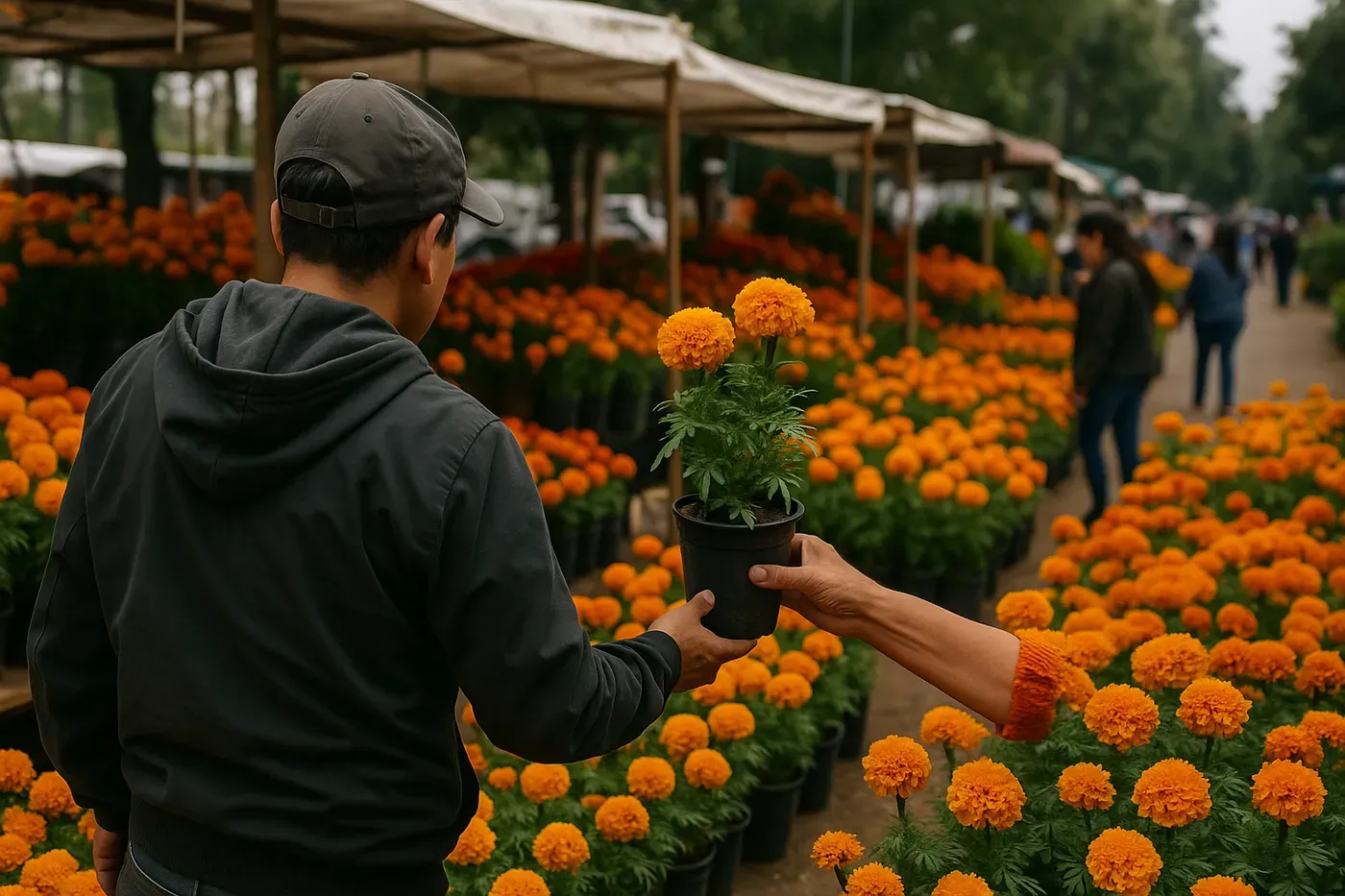Dónde comprar cempasúchil nacional en CDMX para Día de Muertos