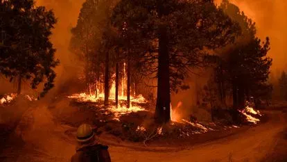El interés de Silvester de vigilar y combatir los incendios por internet
