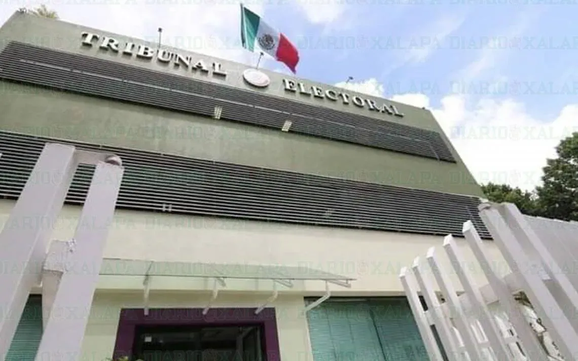 Elecciones municipales: Tribunal de Veracruz da triunfo a Patricia Lobeira