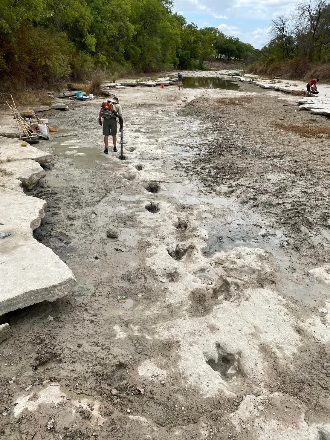 Encuentran enormes huellas de dinosaurio en río afectado por la sequía en Texas