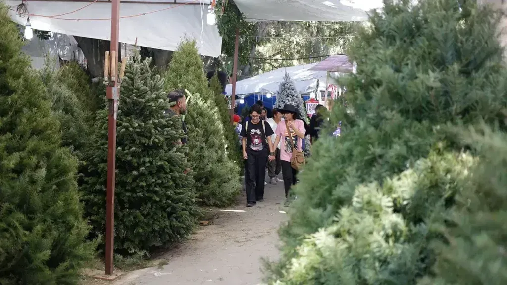Espacios permitidos para ventas navideñas en Puebla