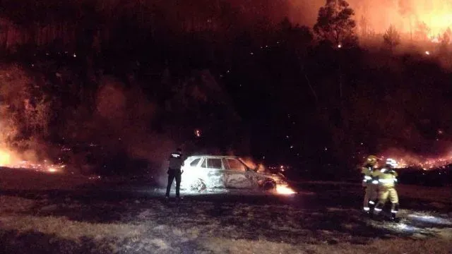 España: Los incendios han arrasado más de 220.000 hectáreas, se cree que han sido intencionados