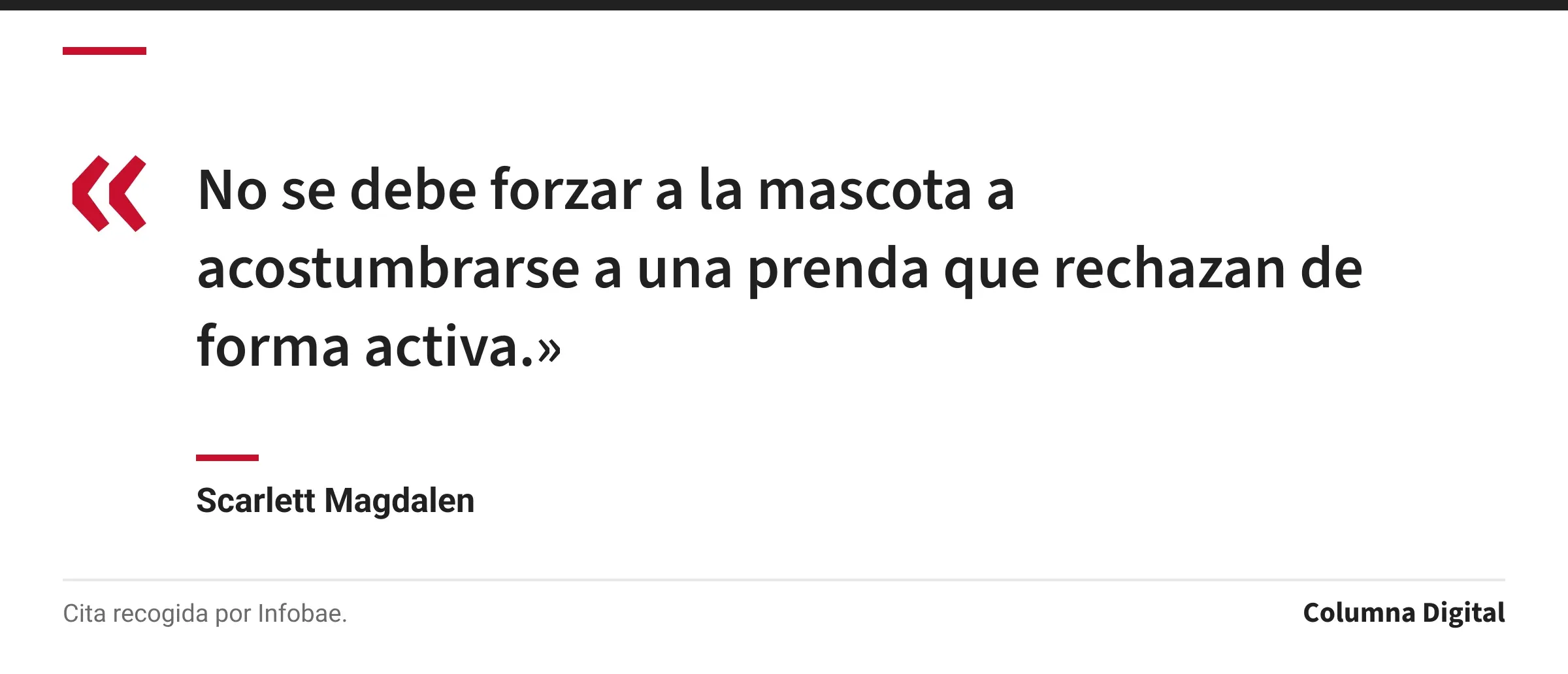 Cita de Scarlett Magdalen: «No se debe forzar a la mascota a acostumbrarse a una prenda que rechazan de forma activa.»