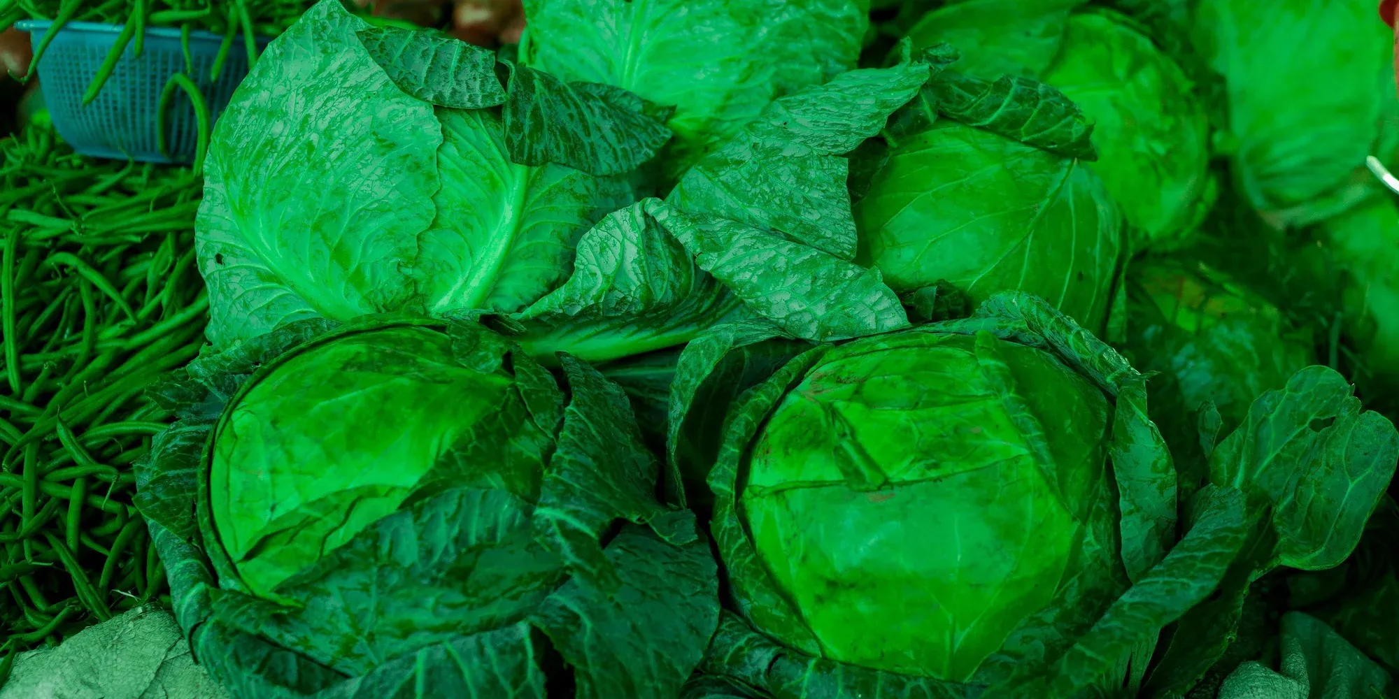 fiber-rich foods