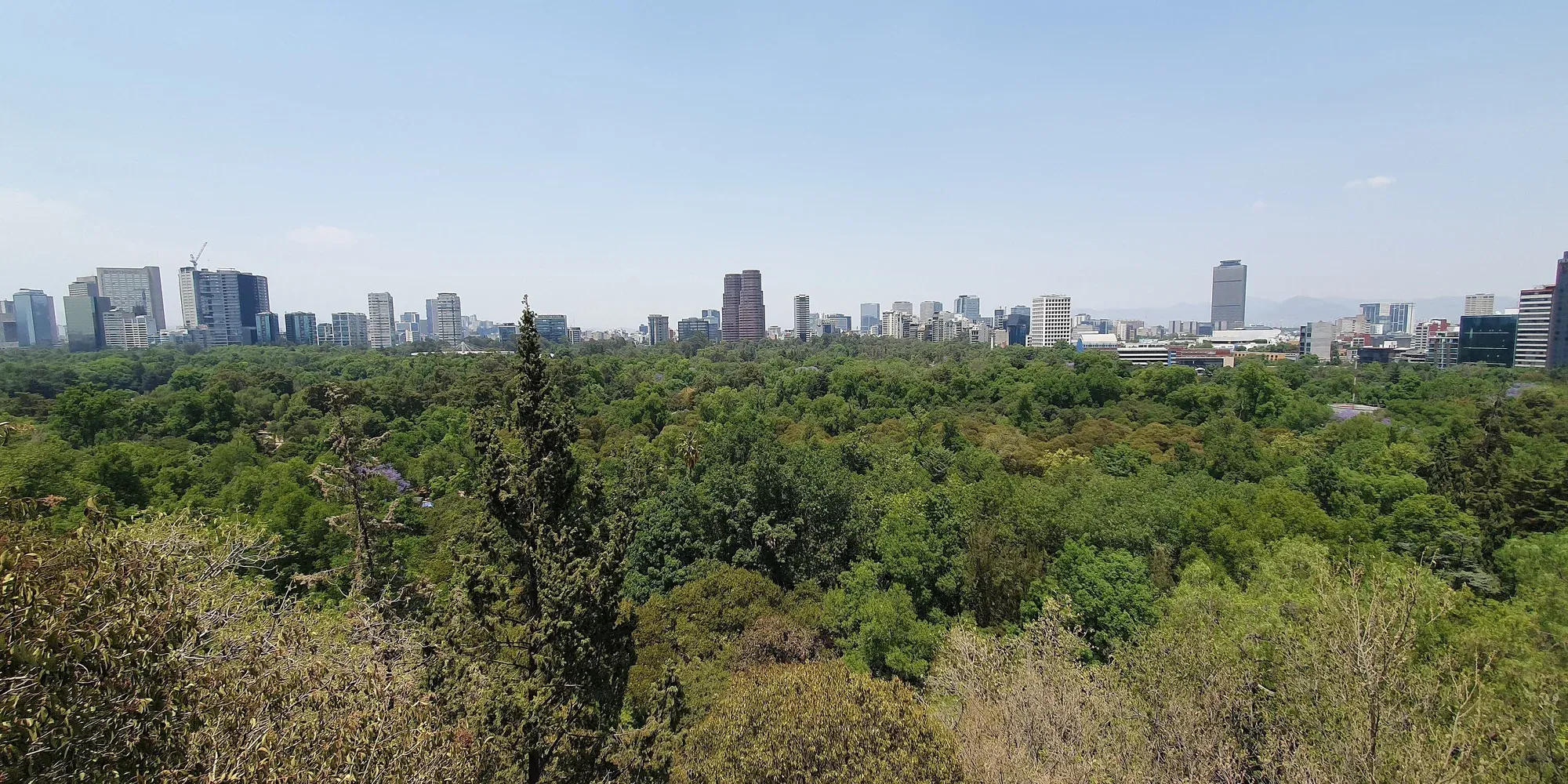 Bosque de Chapultepec