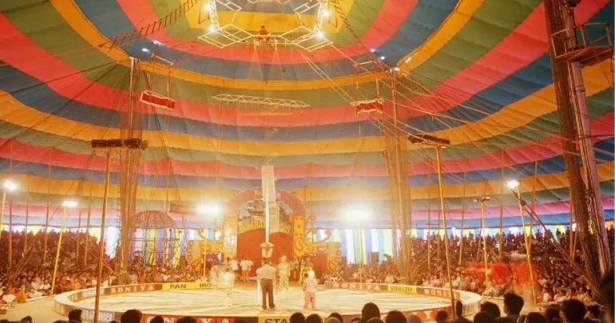 Gran circo navideño en la GAM.