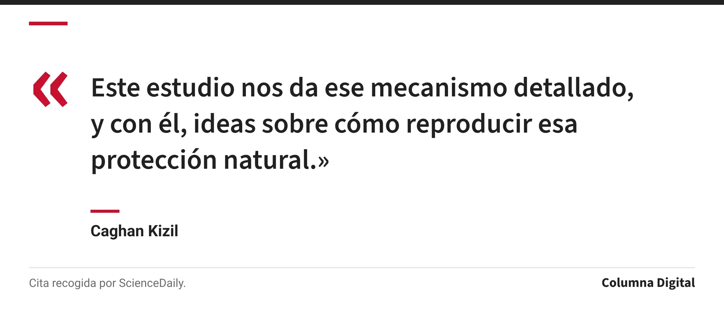 Cita de Caghan Kizil: «Este estudio nos da ese mecanismo detallado, y con él, ideas sobre cómo reproducir esa protección natural.»