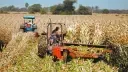 Incremento del azúcar en México a 6%