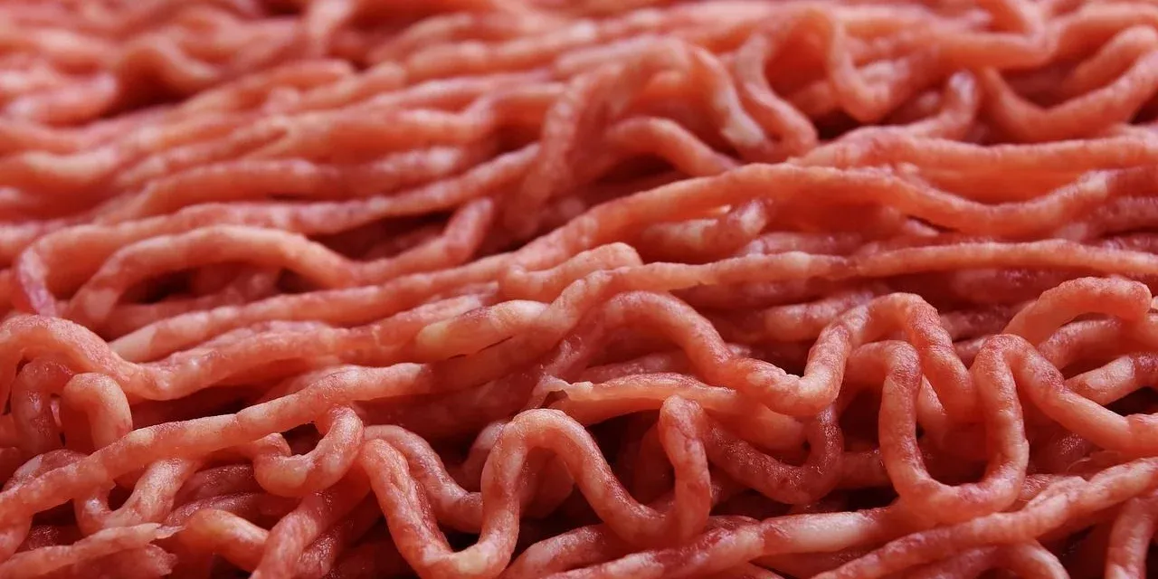 Brazilian meat import regulations