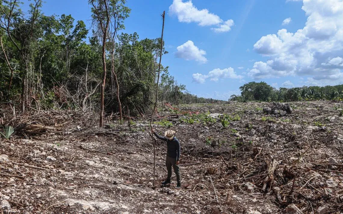 Inseguro el suelo donde se construye el Tren Maya