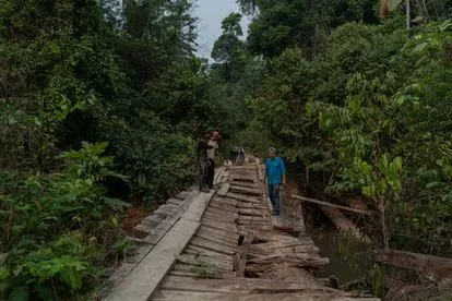 La Amazonia: cenizas de la tierra calcinada
