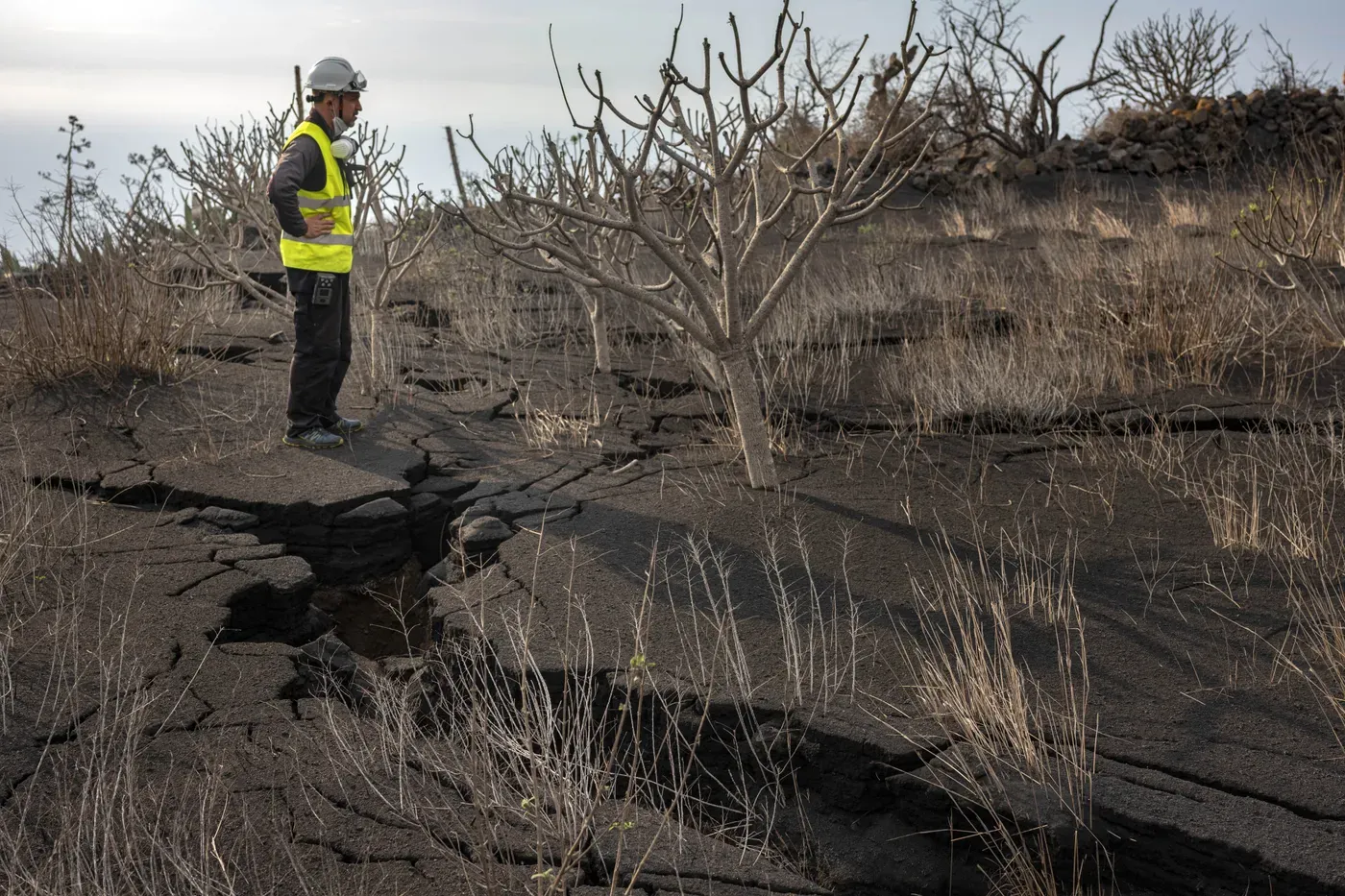 La explicación del por que el volcán de "La Palma" no sufrió un derrumbamiento