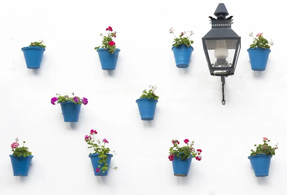 La Fiesta de los Patios de Córdoba, un siglo entre flores