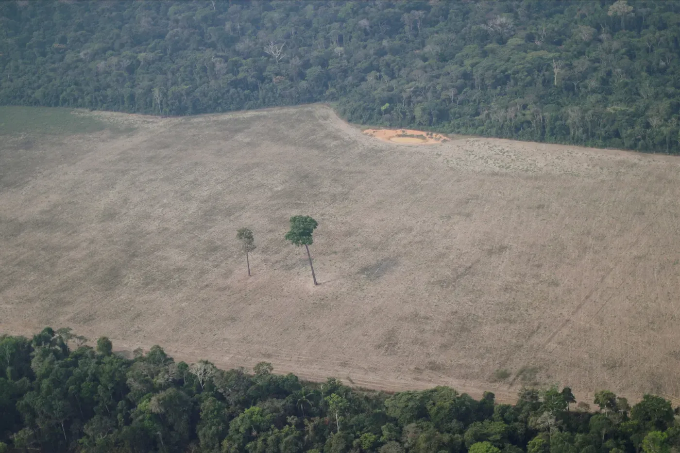 La supervivencia de la especie, en manos de uno de sus peores especímenes