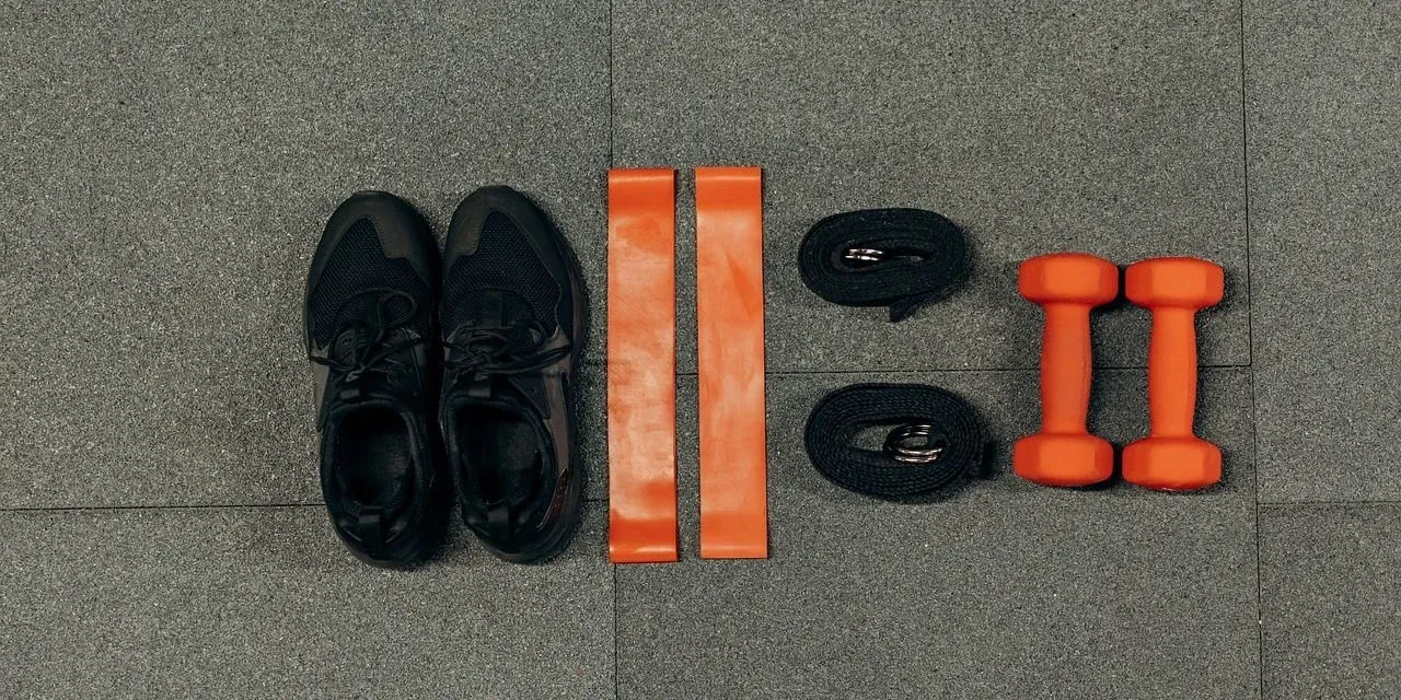 diet and exercise program