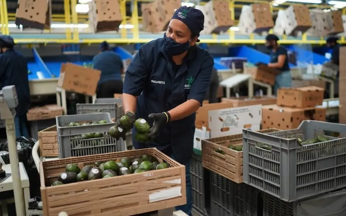 Los altos niveles en la inflación de EEUU afectan el costo de bienes y servicios en México