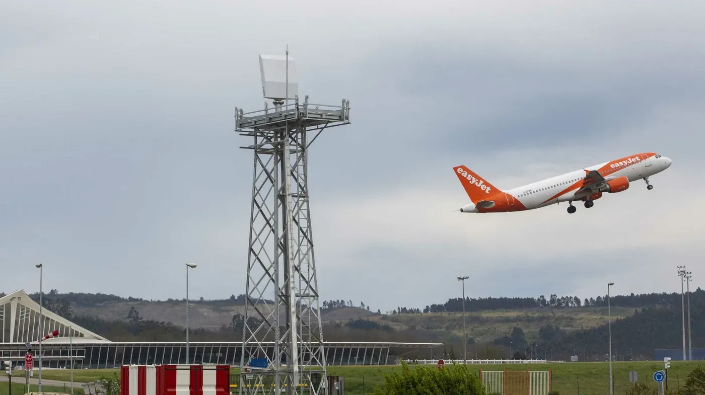 Los buitres son la principal amenaza para el aeropuerto de Bilbao