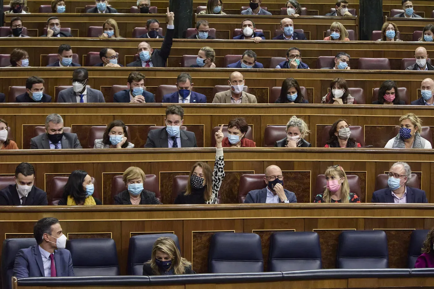 Los ‘casero’ son multitud en el Congreso