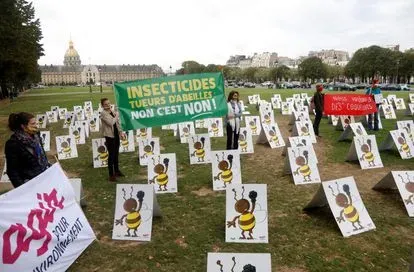 Los estudios científicos y la agricultura debaten el uso de insecticidas con neonicotinoides