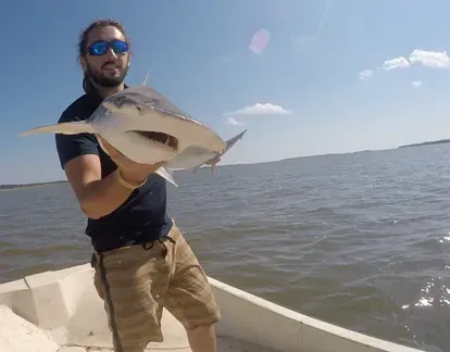 Los tiburones son capaces de nadar hasta 67 kilómetros al día persiguiendo una presa