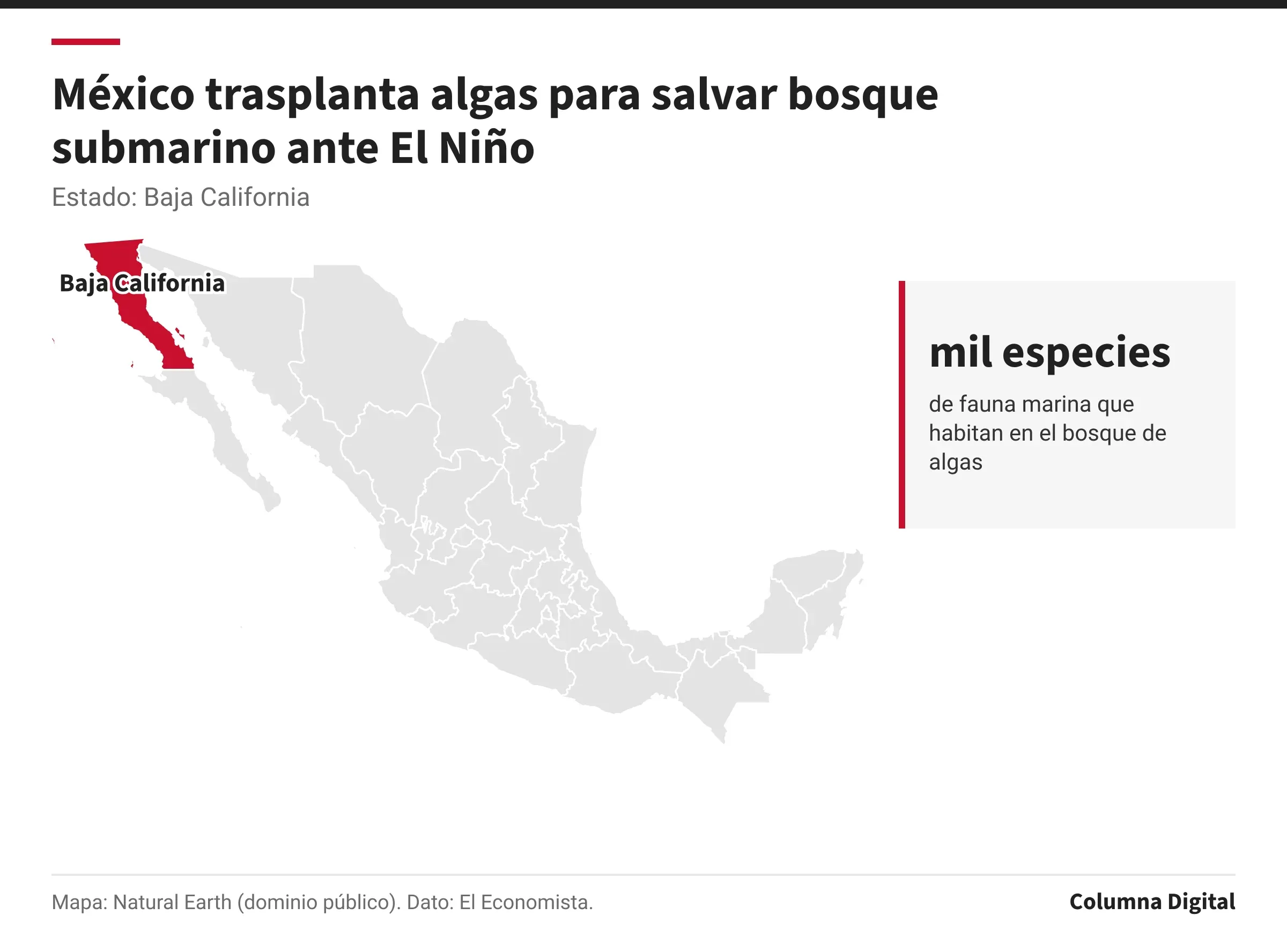 Mapa de México con Baja California resaltado; mil especies: de fauna marina que habitan en el bosque de algas.