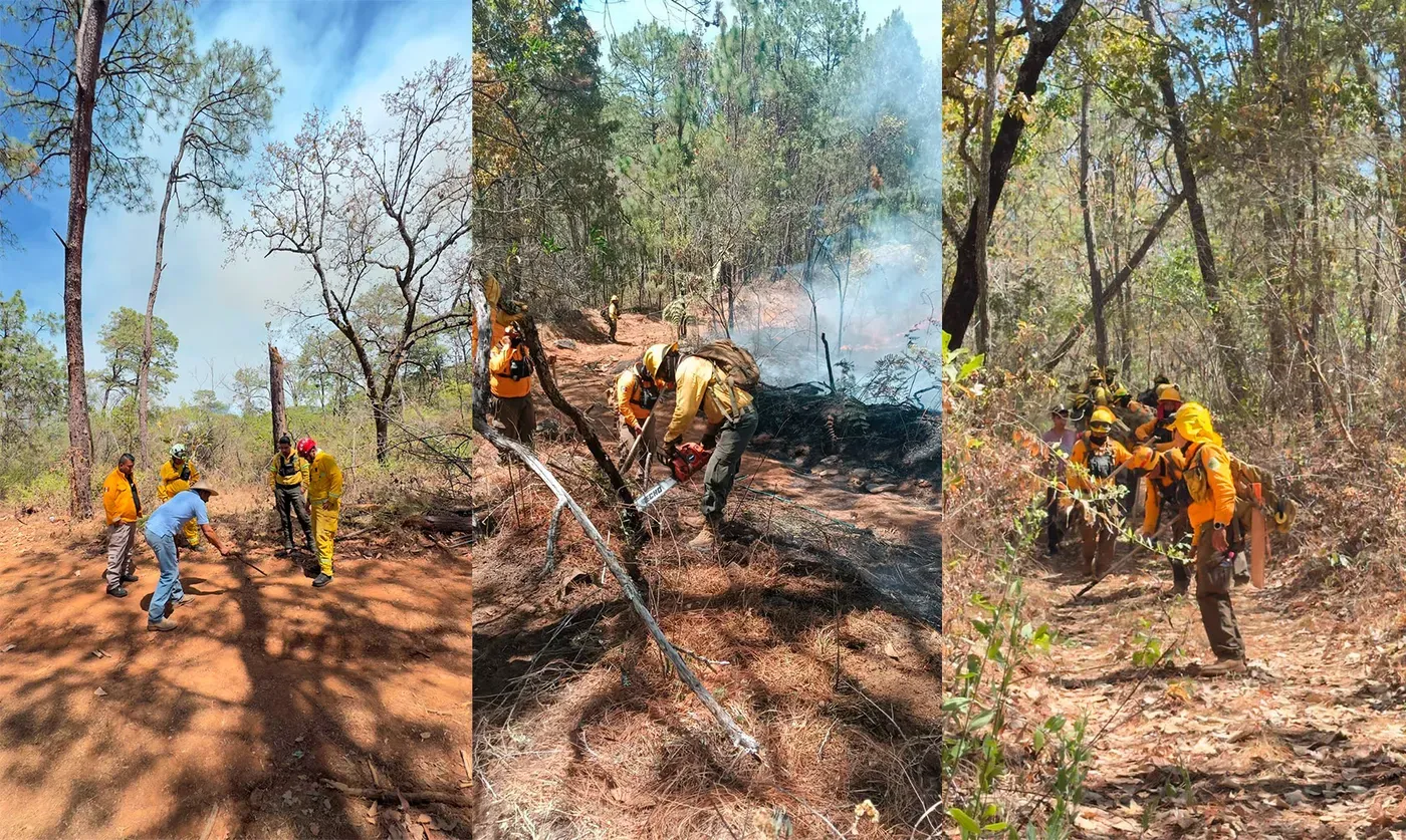 #Michoacán 100 % Controlado Incendio Forestal, Más de Mil Hectáreas Dañadas
