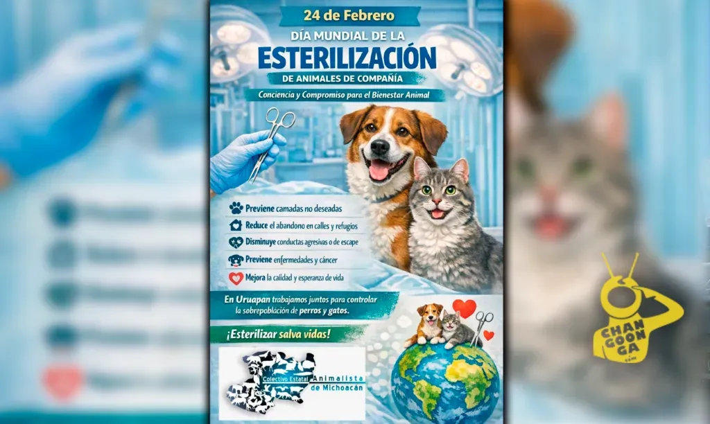 #Michoacán Miles de Perritos y Gatos Aún en Calle pese a Esterilizaciones: Activistas - Changoonga.com