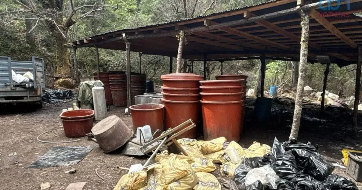 Morena señala que 70% está controlado por narcotraficantes.