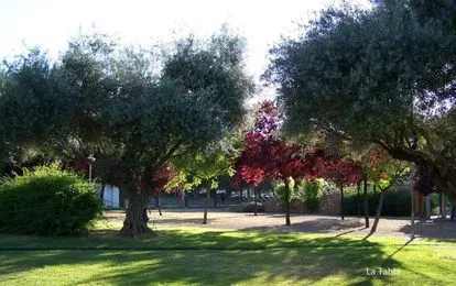 Muere adolescente apuñalado en un parque de Valenciana