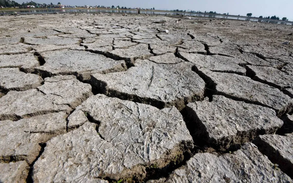 NASA alerta que un 85% del territorio mexicano está en sequía